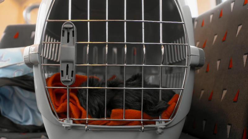 Isa ist aber super entspannt