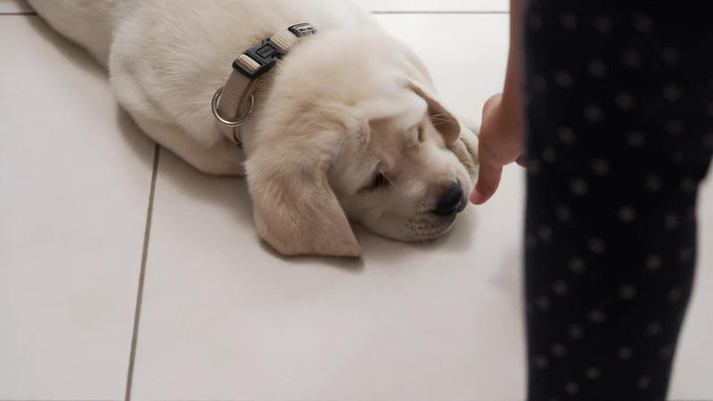 Der erste Ausflug steht an