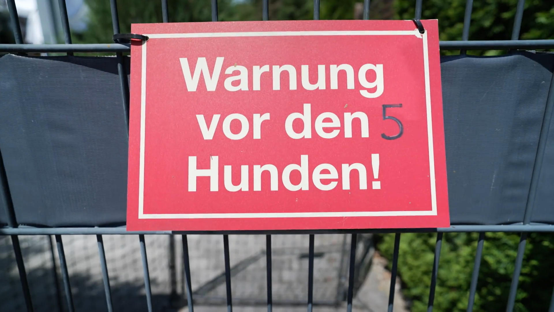 Ihr Hobby sind Hunde