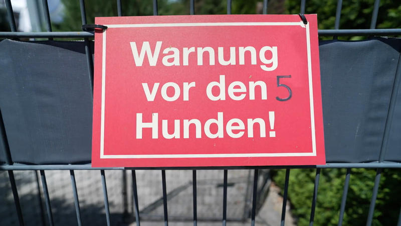 Ihr Hobby sind Hunde