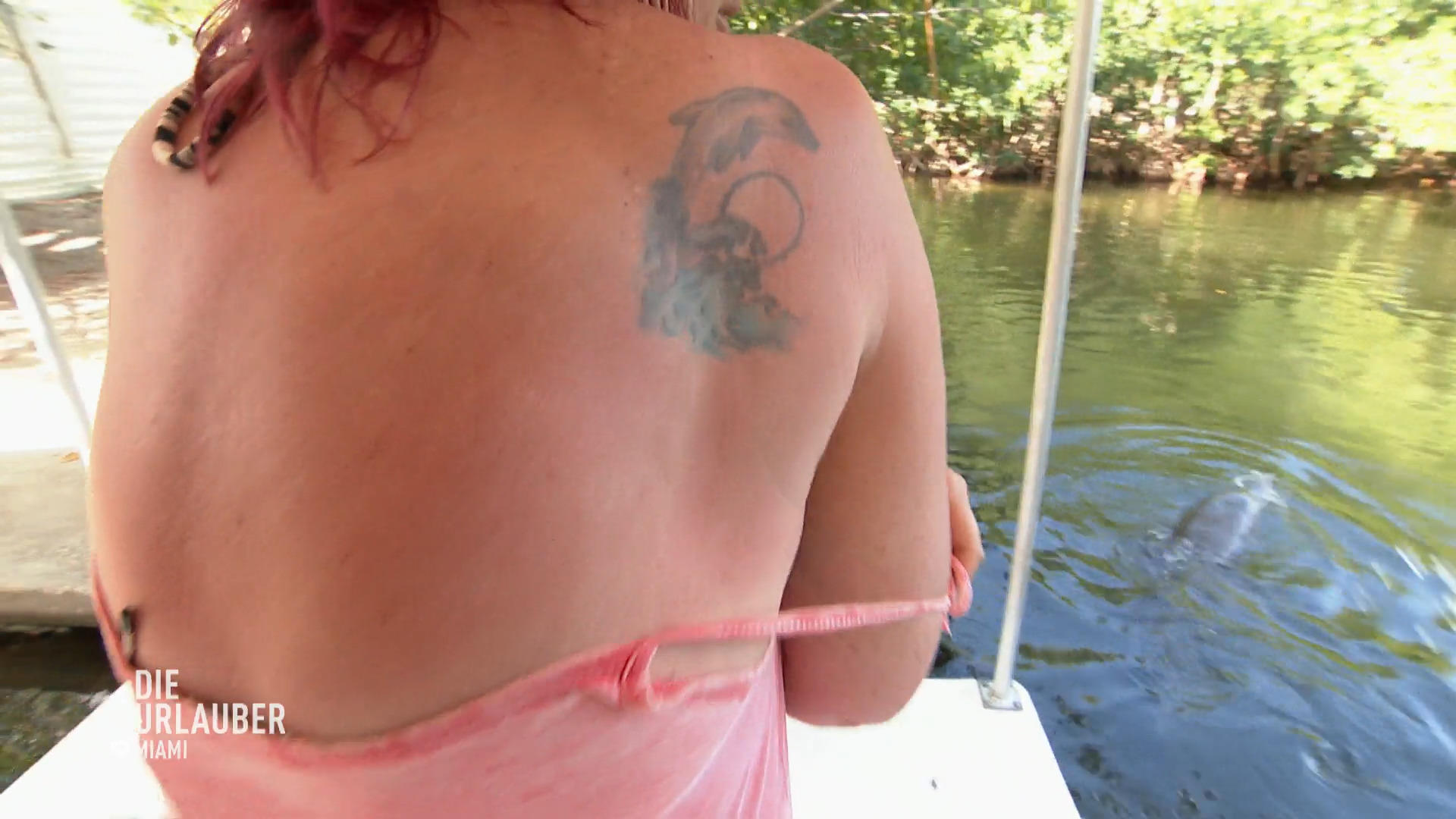 Delfine sind Caros Krafttiere