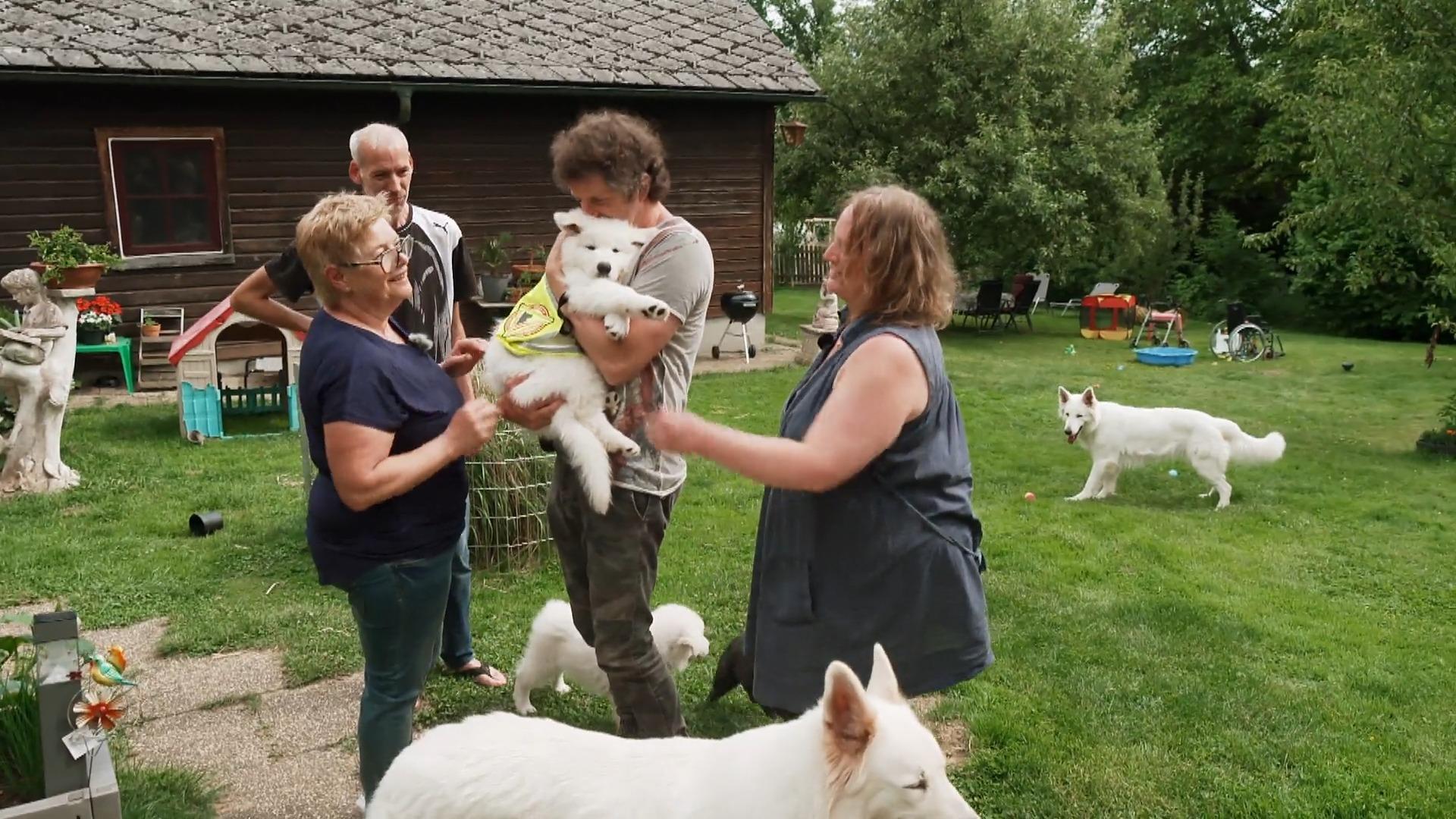 Falko soll ein Blindenführhund werden