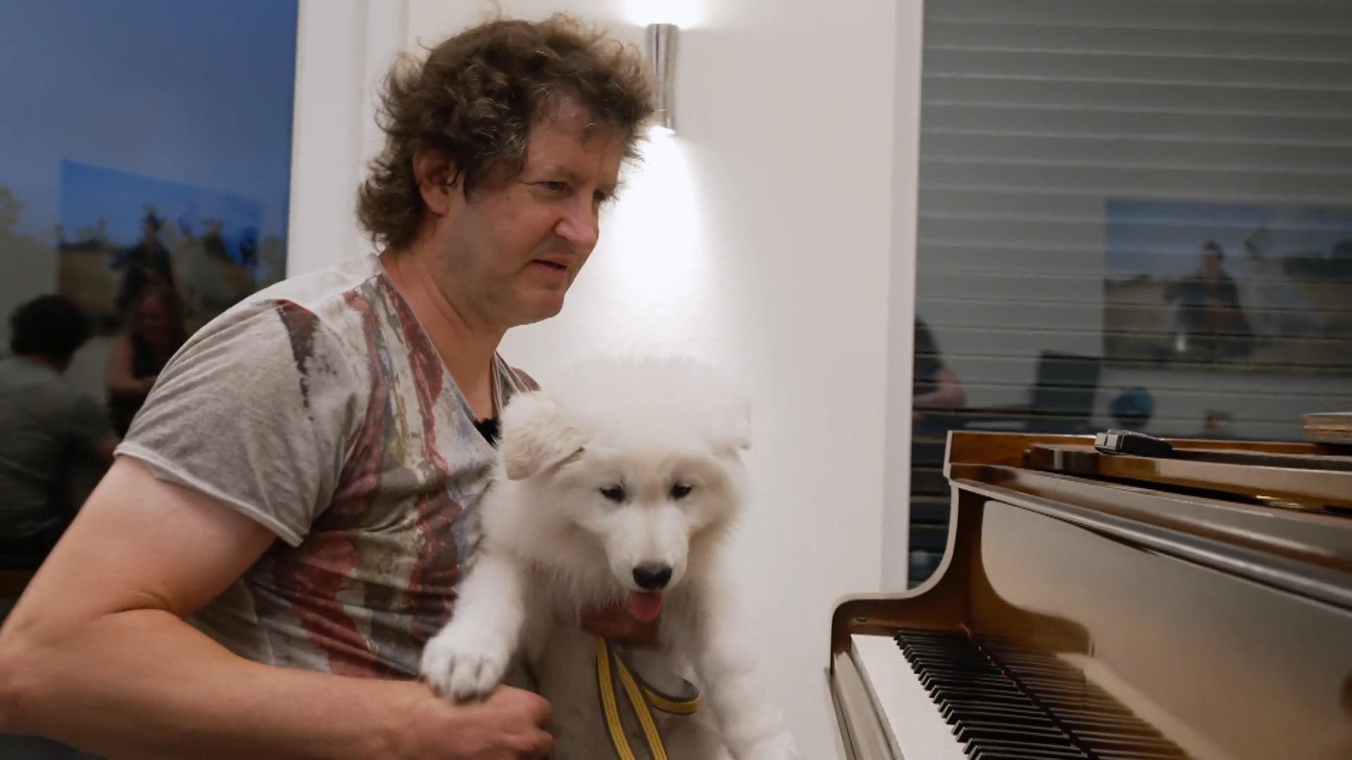 Schäferhund-Welpe Falko in seinem neuen zu Hause