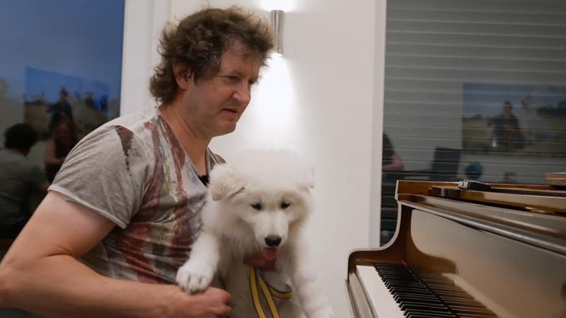 Schäferhund-Welpe Falko in seinem neuen zu Hause