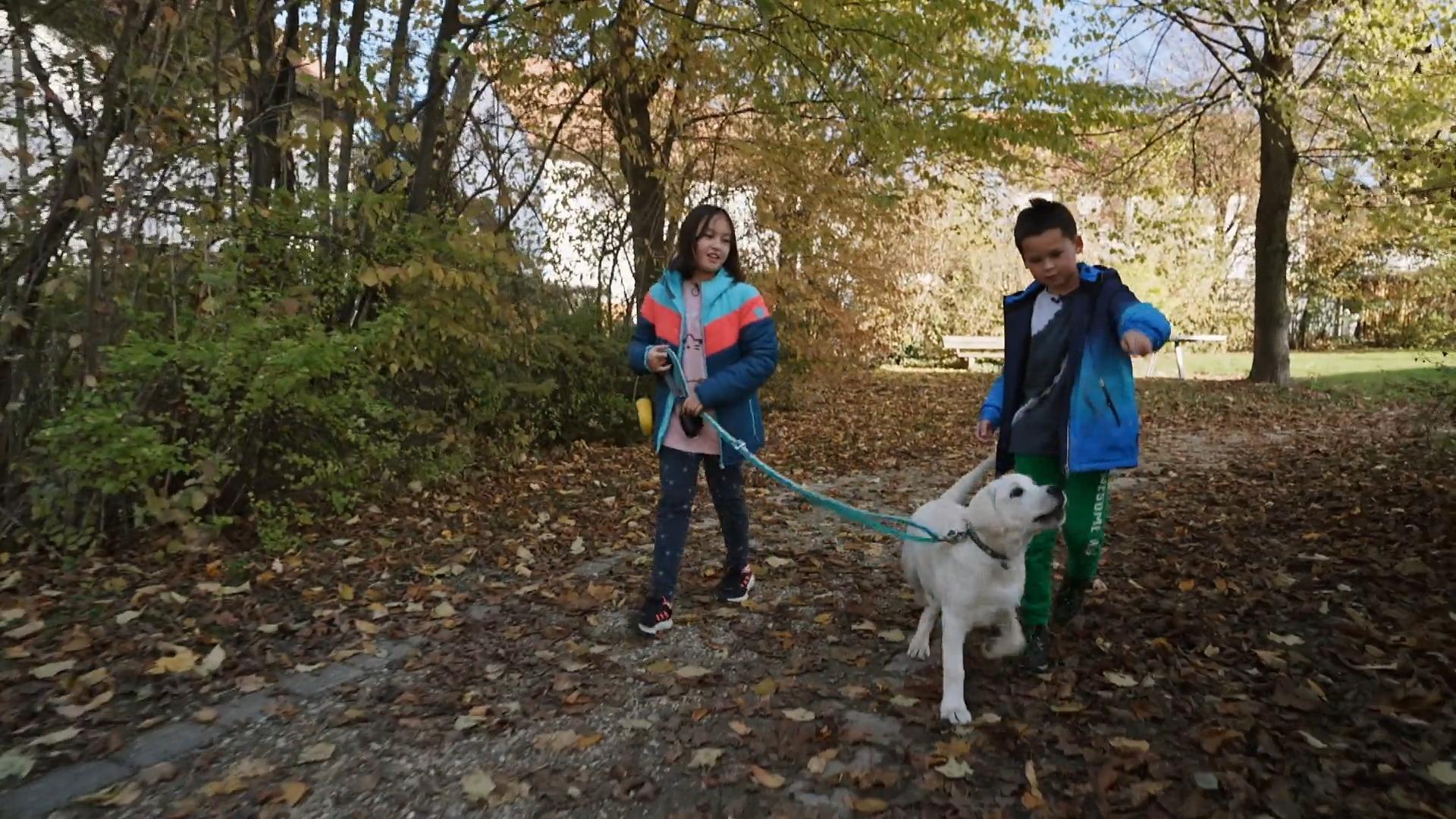 Sophia und Elias gehen ohne Eltern mit dem Hund Gassi