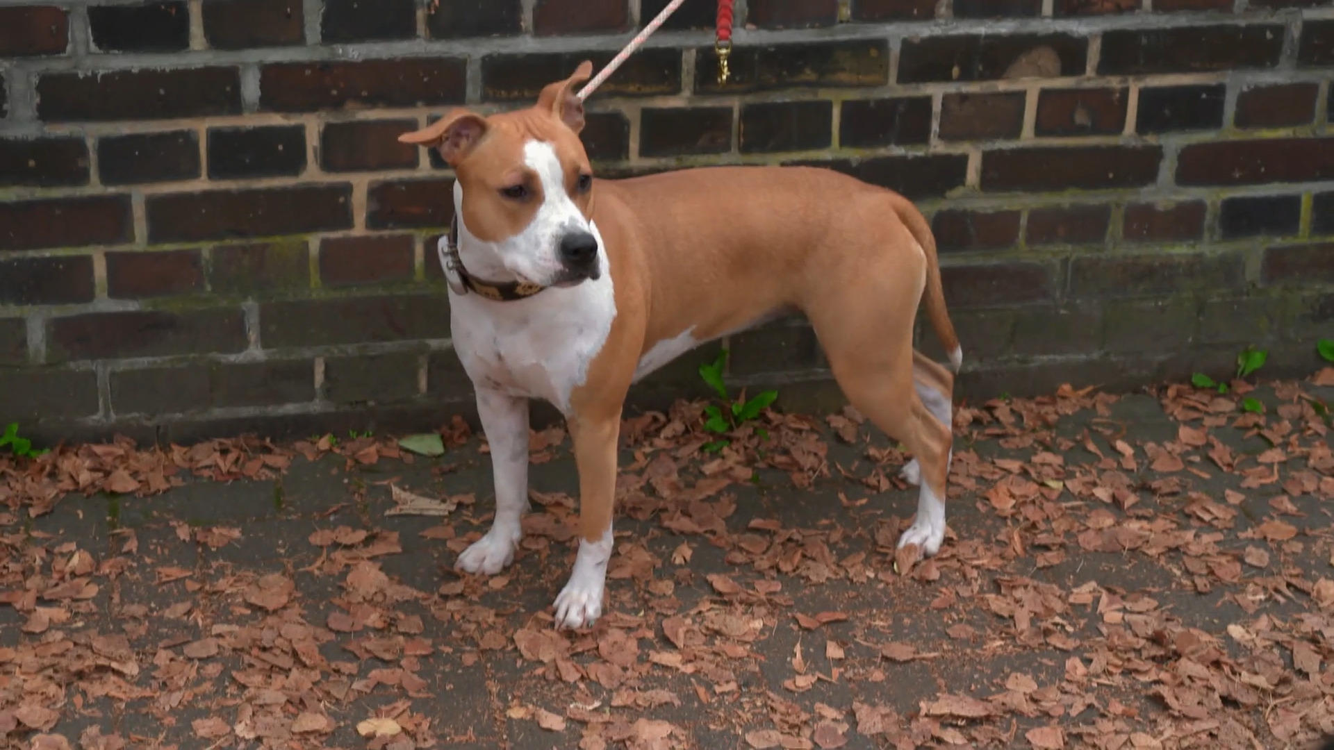 Irma steht der schwerste Teil noch bevor