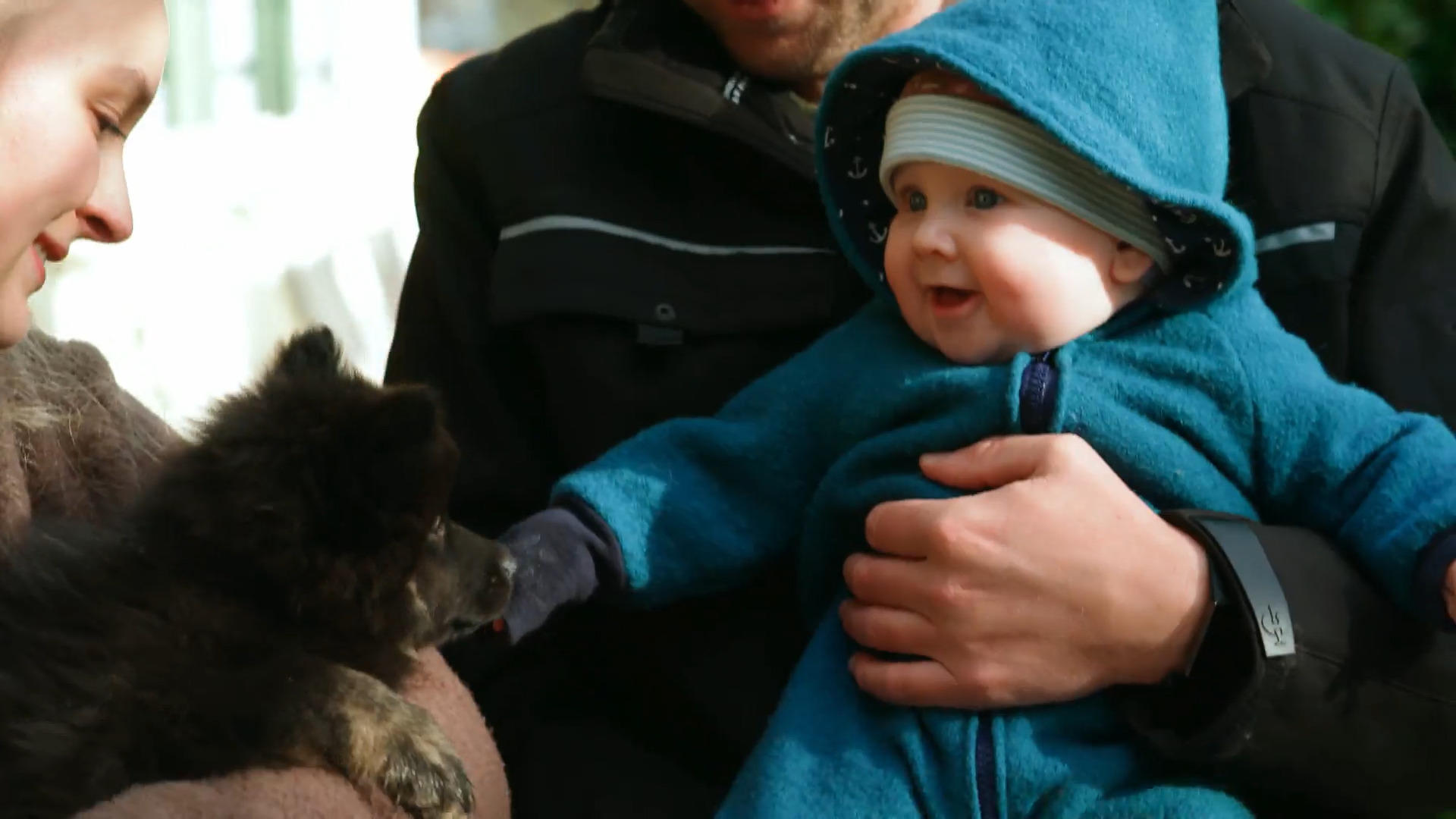 Die "Welpen" treffen aufeinander