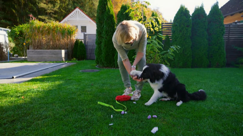 Claudia versucht Moritz zu trainieren
