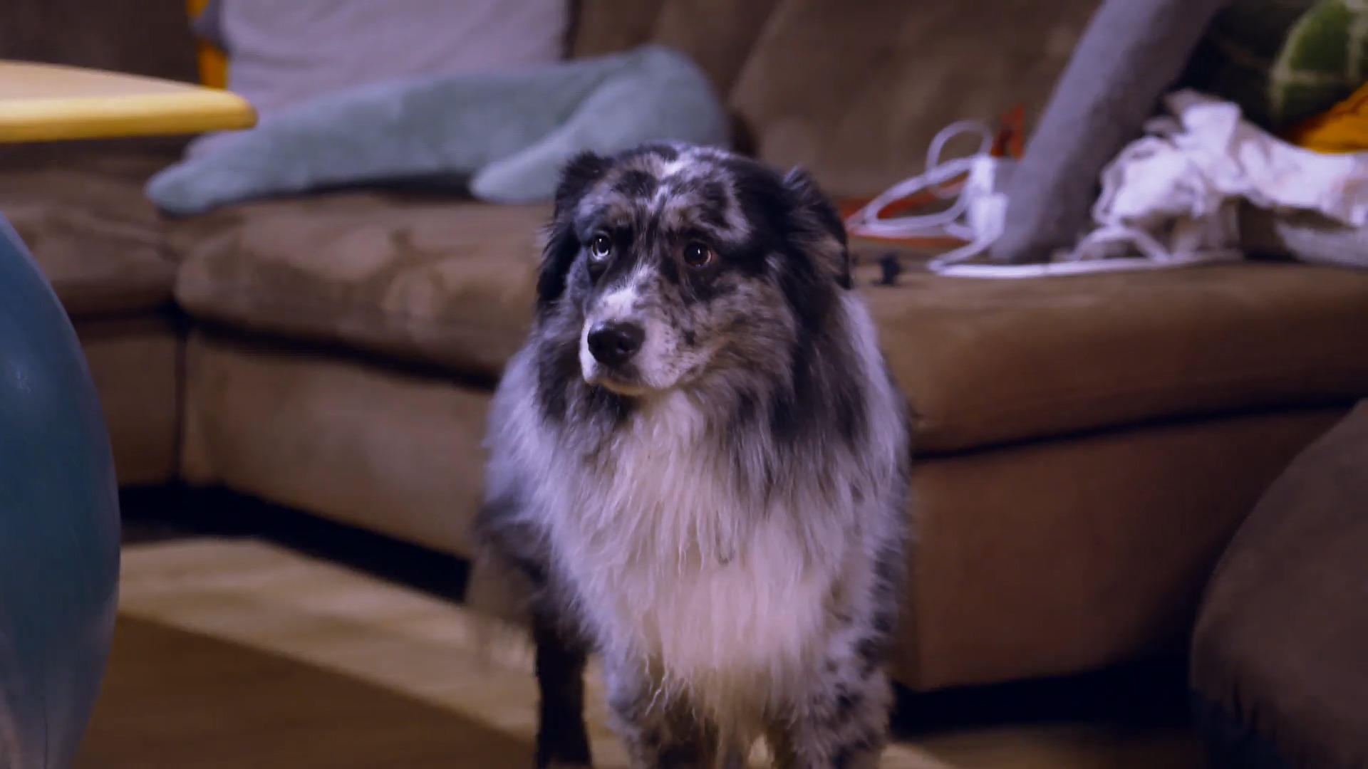 Fühlt Oskar sich mit Emil wohl?