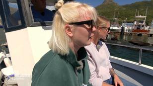 Meeres-Safari mit Seelöwen