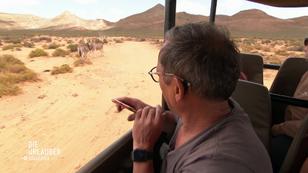 Ganztages-Safari in einem Privat-Reservat