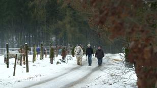 Wie hat Django sich beim Training entwickelt?