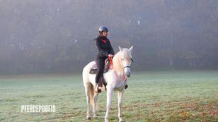 Jenny und Noble sind zusammengewachsen