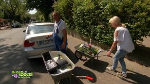 Conny sehnt sich nach Abwechslung