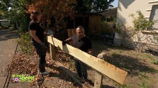 Aufräumaktion im zugewachsenen Vorgarten