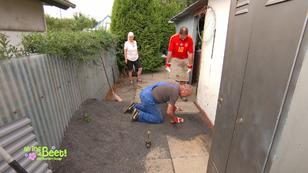 Kleingartenparzelle soll begrünt werden