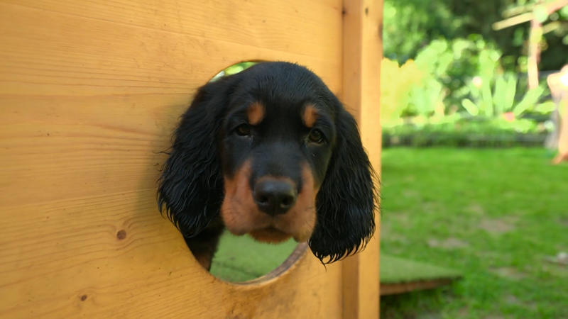 Die Aufregung ist groß