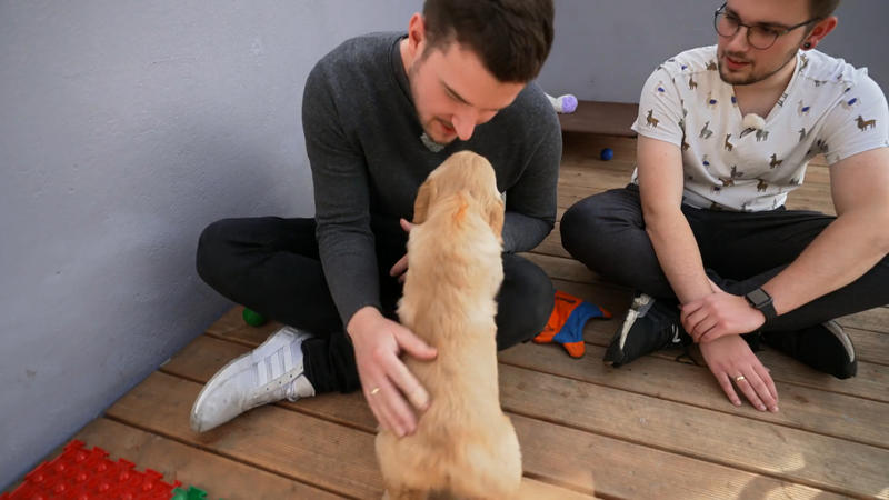 Der Wesenstest entscheidet über den Welpen
