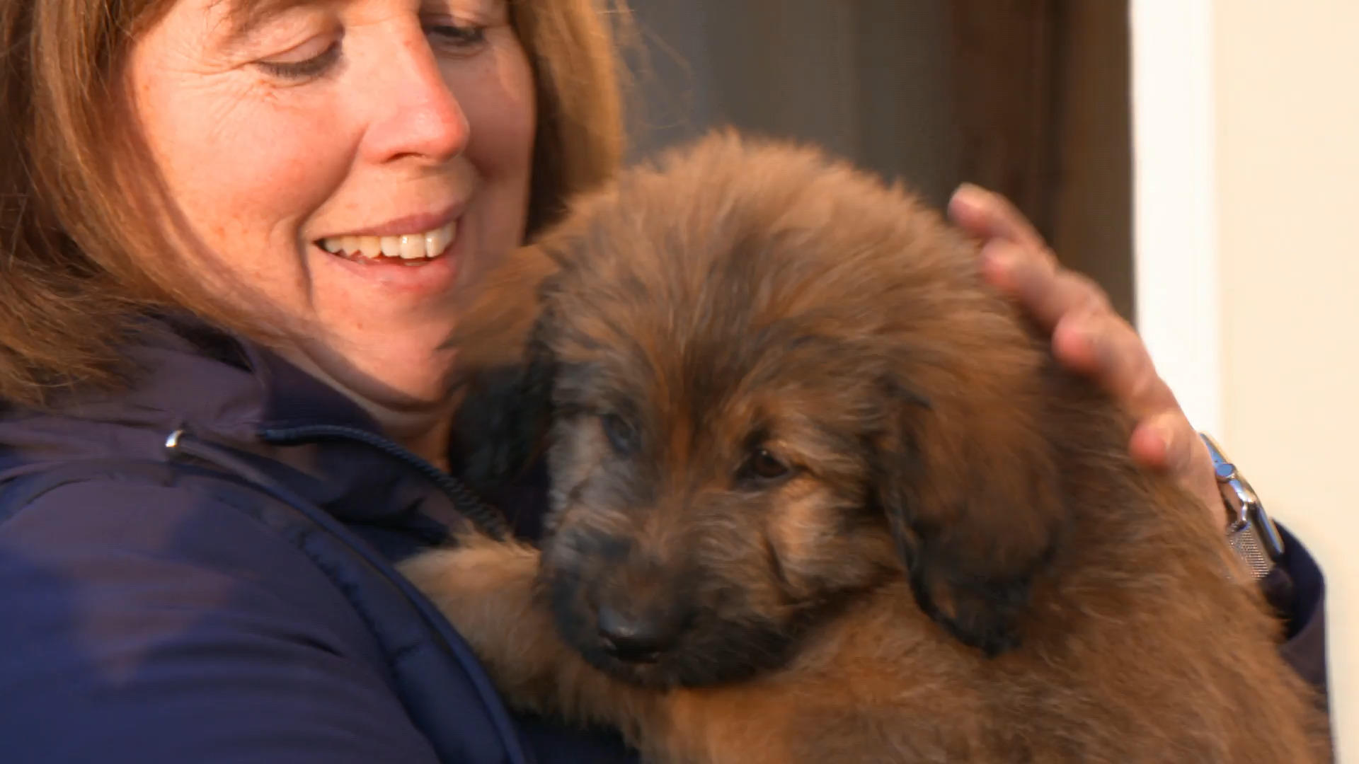 Einen speziellen "Welpen-Vorbereitungskurs"