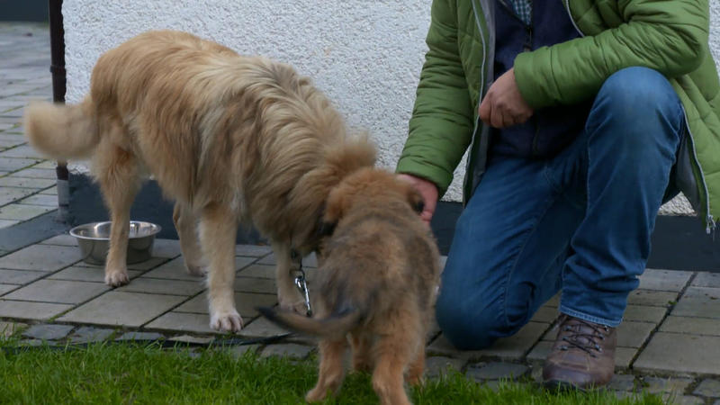 Ellie trifft ihren Mitbewohner