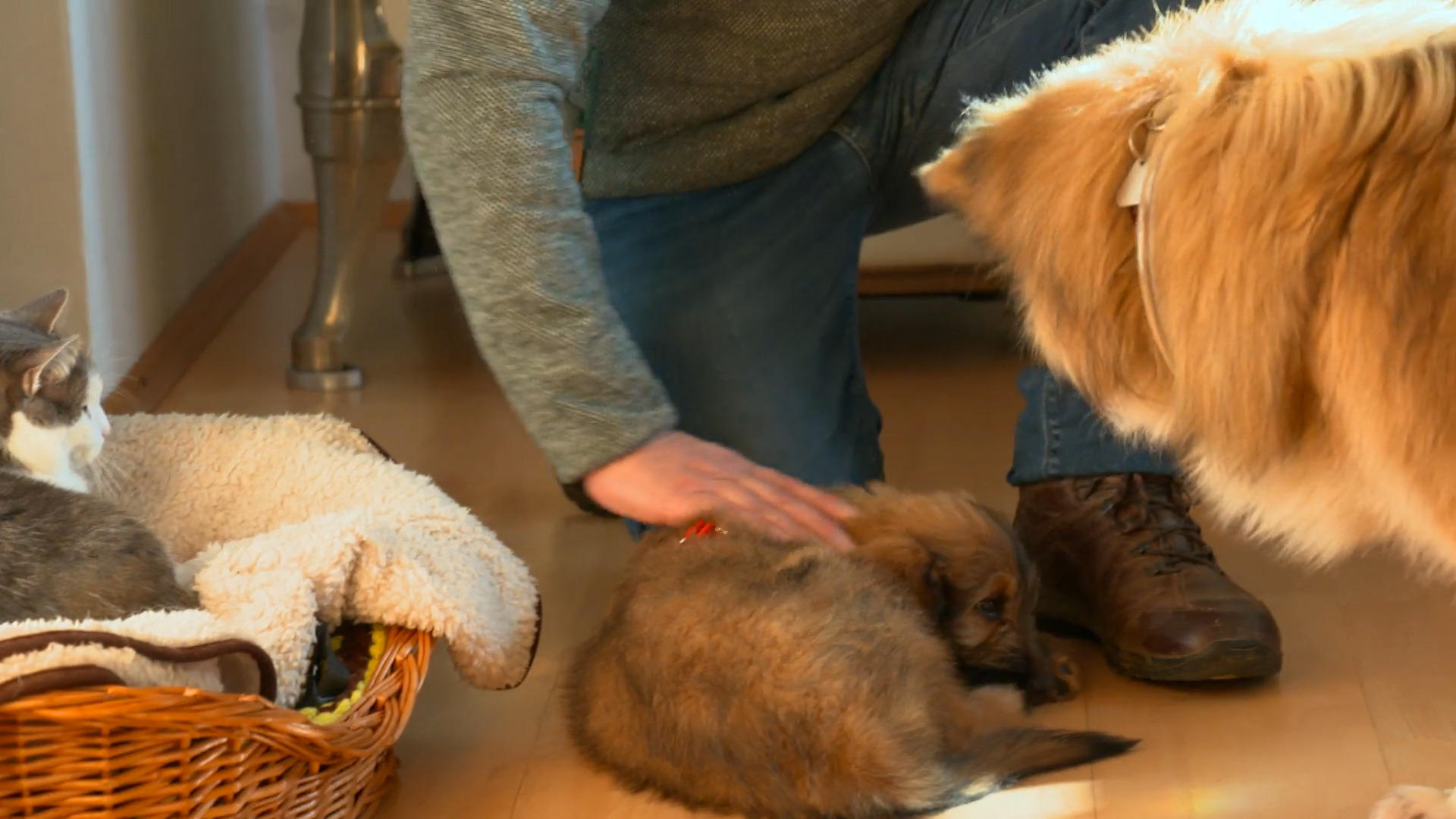 Ellies erste Nacht im neuen Zuhause