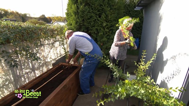 Aus dem Beton-Garten wird eine grüne Oase