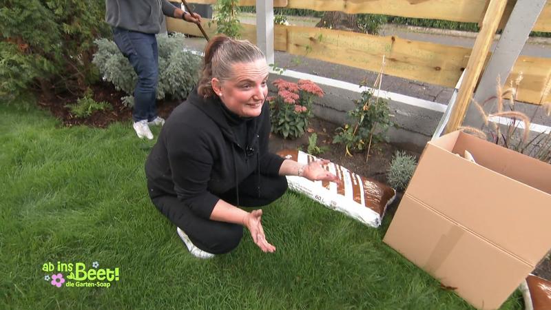 Aus dem Schandfleck wird ein grüner Vorgarten