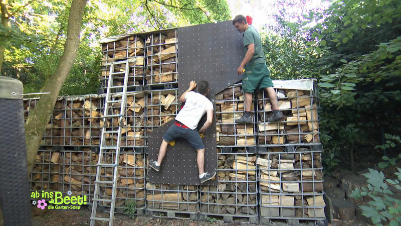 Sohnemann erklimmt schon die Kletterwand