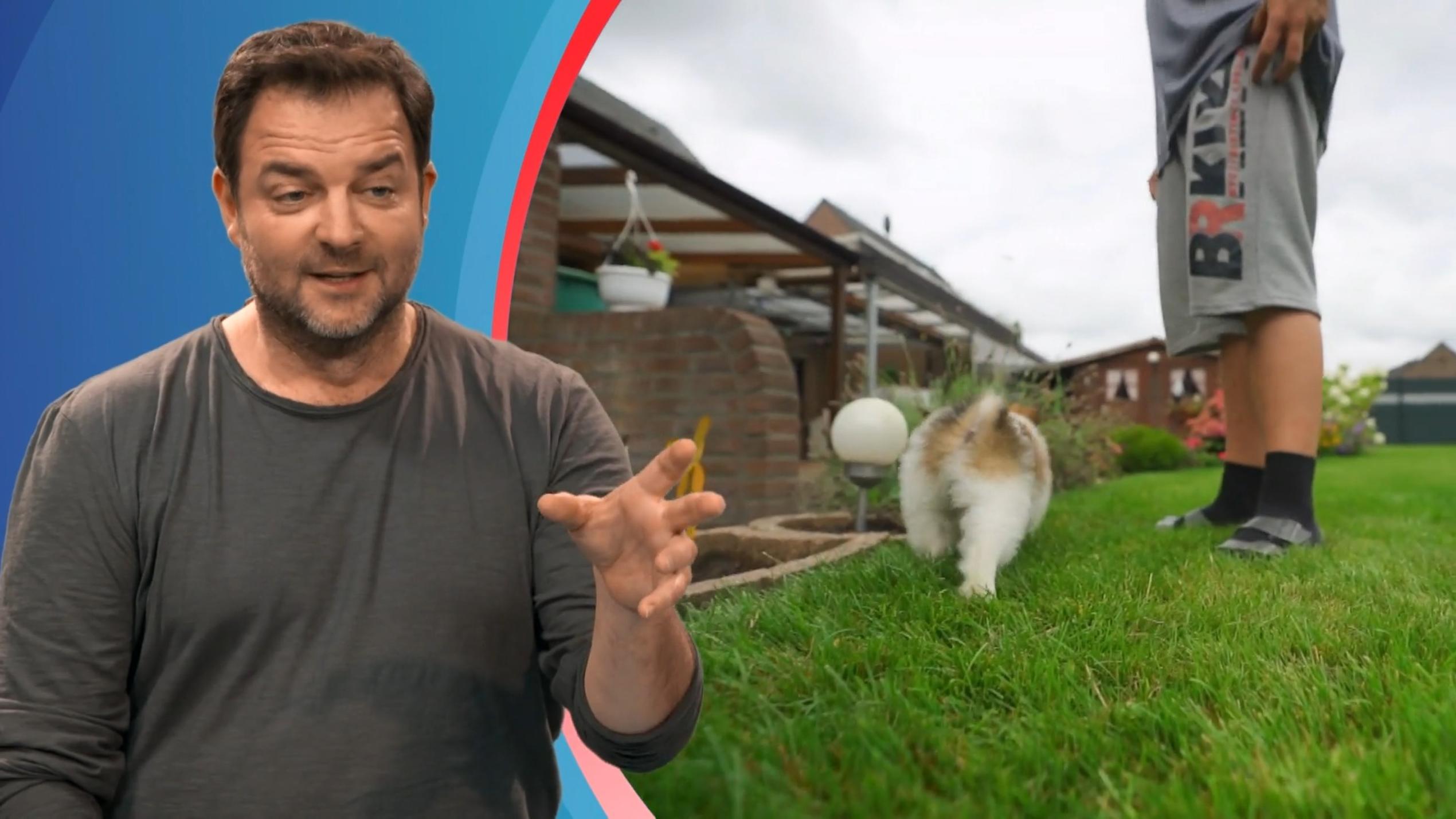 Die Welpen kommen Martin Rütter durfte