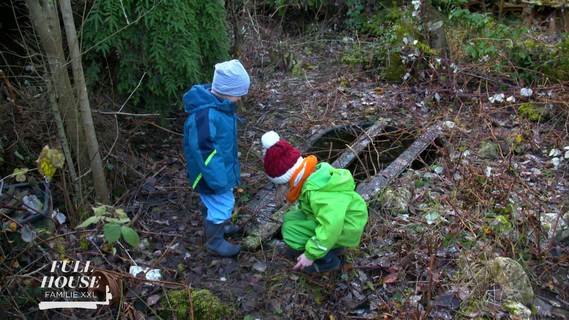 Überredungskunst bei den Zwillingen