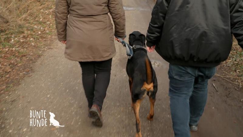 Beim Spaziergang mit Sky sind alle angespannt