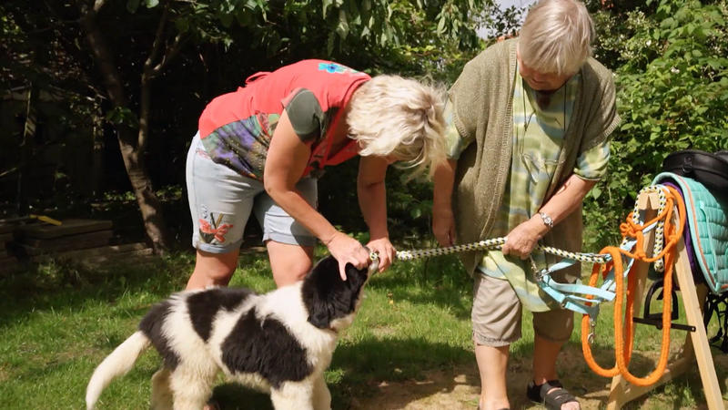 Dana reizt die Grenzen immer mehr aus