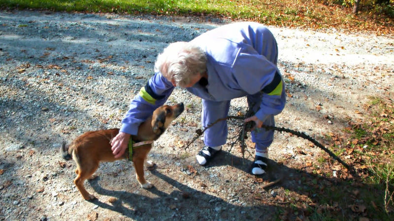 Durch Lucy blühen alle richtig auf