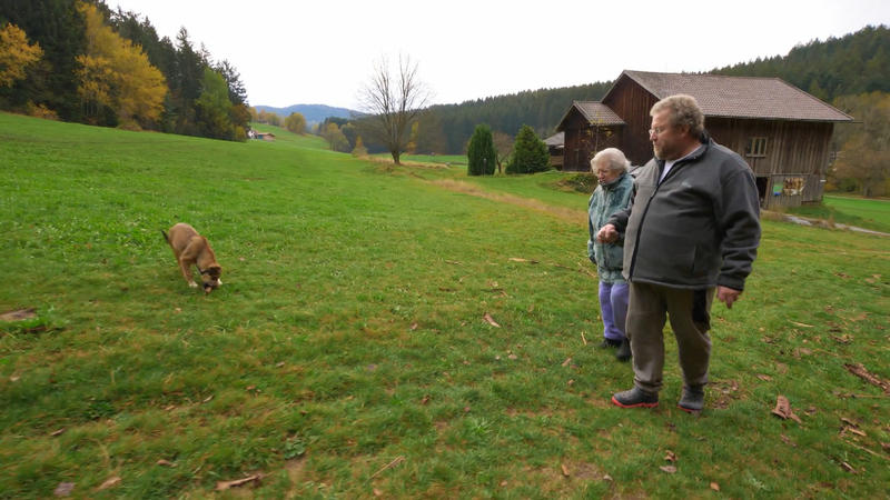 Lucy genießt das Landleben