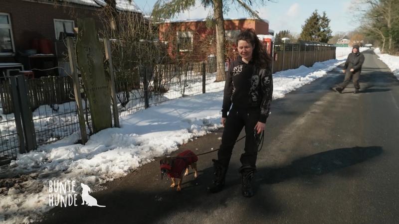 Generalprobe für Problemhund Oscar!
