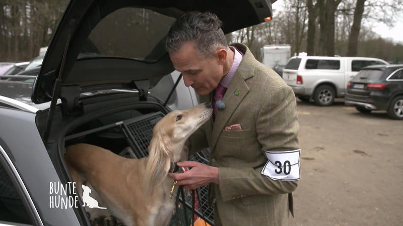 Vorbereitungen vor der großen Hundeausstellung