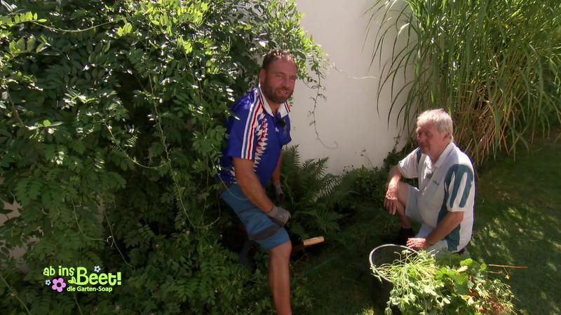 Nächstes Projekt: Hochbeet