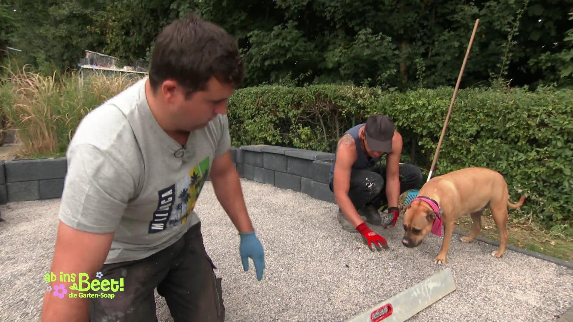 Der Hund von Martins Freundin will spielen