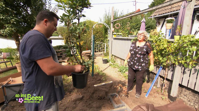 Ein neuer Baum für Marcos Garten