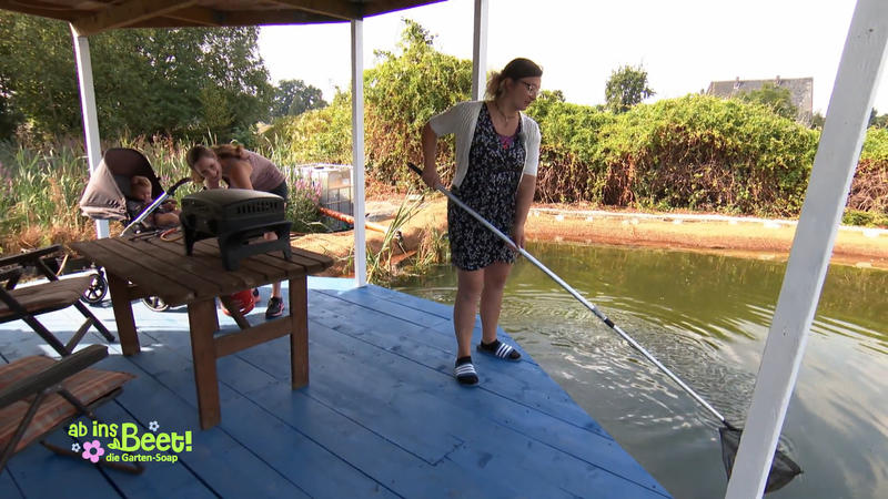 Wasserpflanzen für den Teich