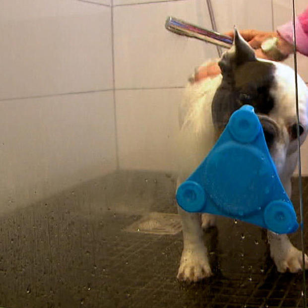 Mit dieser Erfindung bekommt "hund" nichts mehr mit