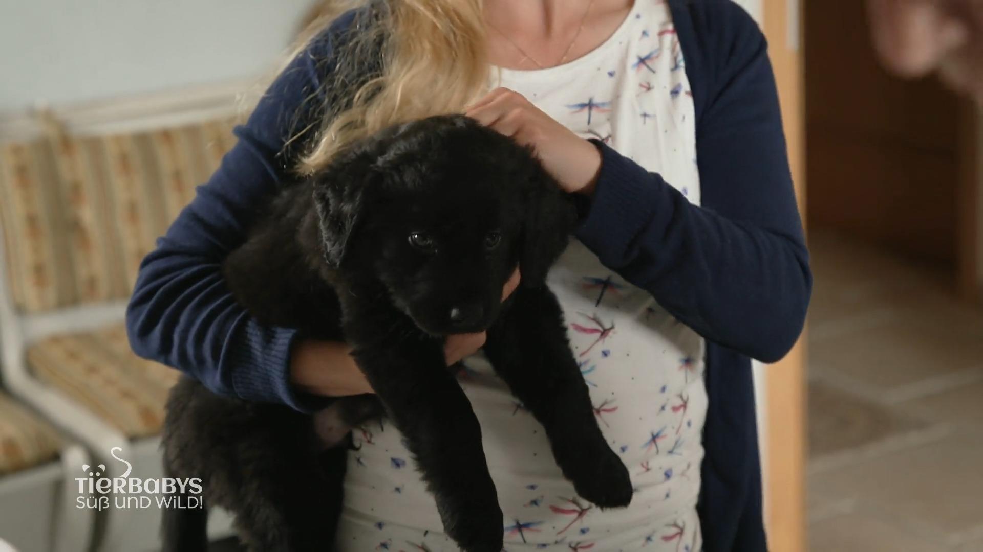 Sandro wird heute geimpft