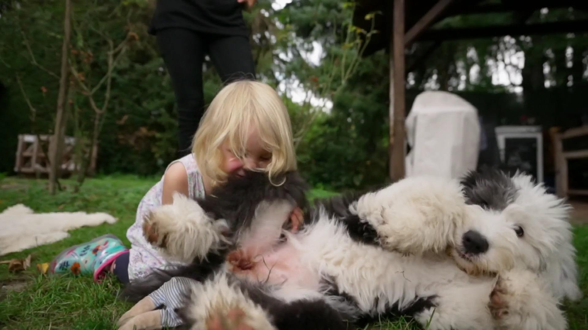 Welpe Nala im Training