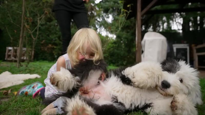 Welpe Nala im Training