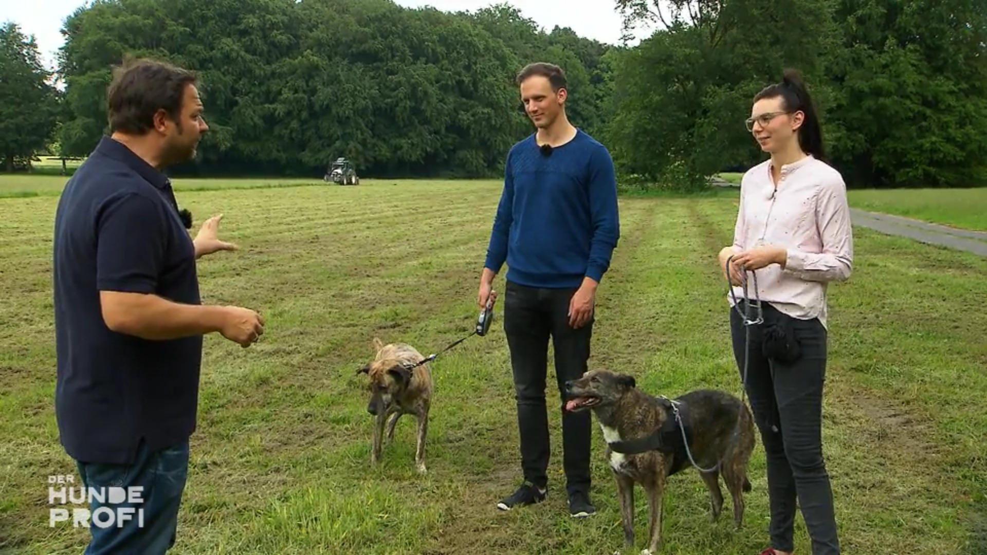 Ist Hectors Aufregung wirklich Freude?