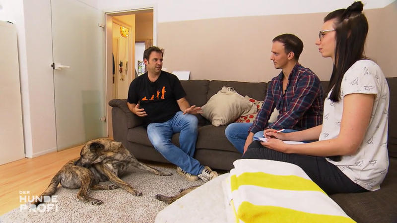Hector passt immer auf – damit ist nun Schluss!