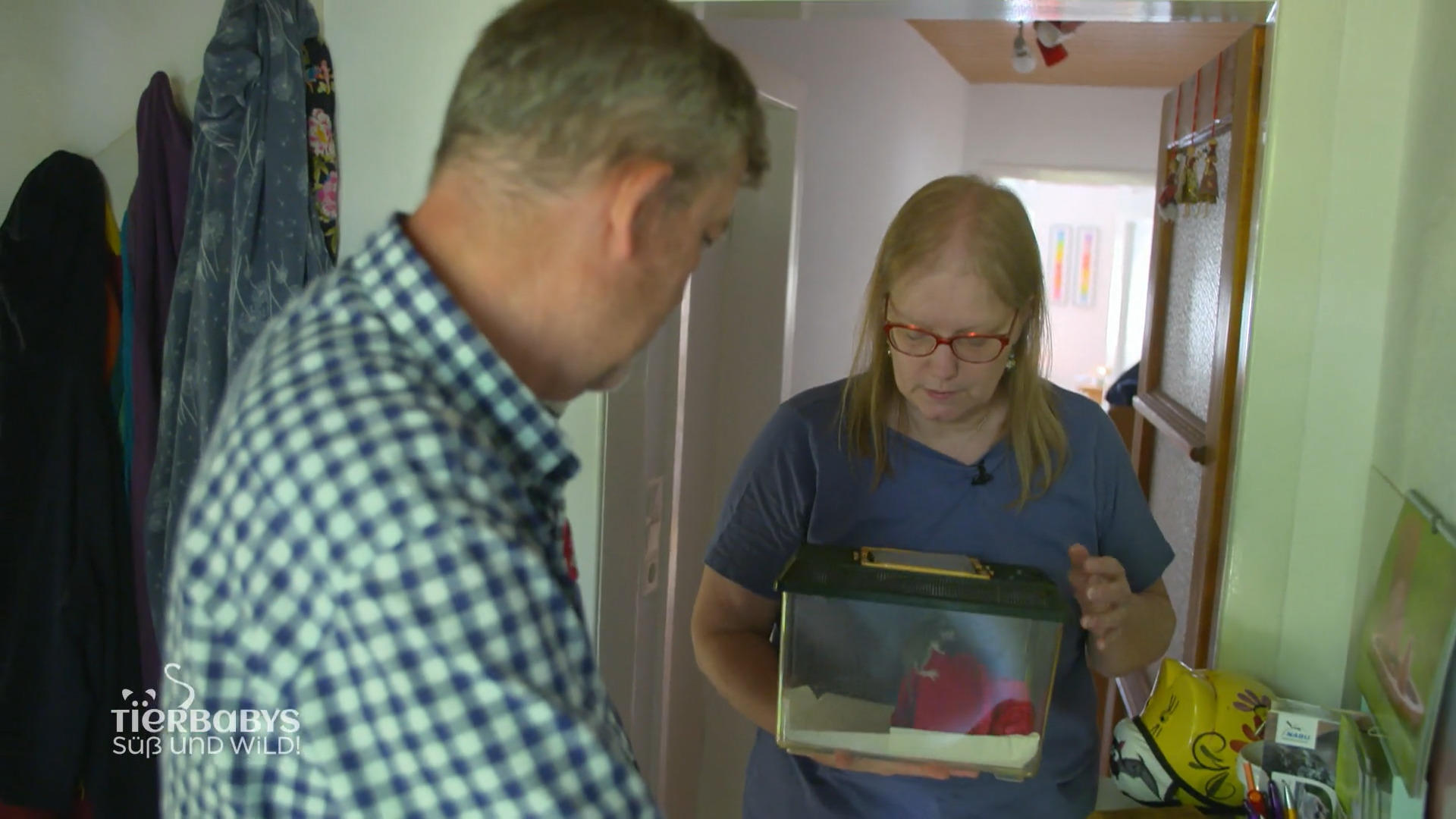 Neuankömmling für Stefanies Gartenschläfer-Gang