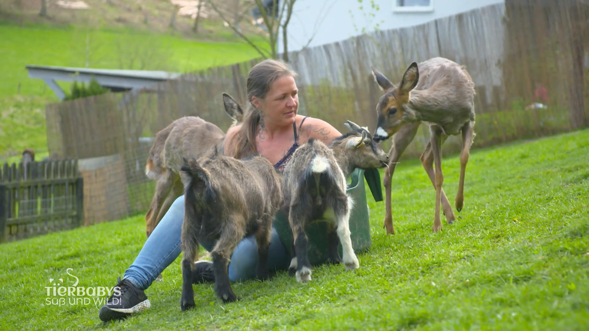 Mit der Päppelstelle erfüllte sich Melli einen Traum