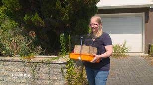 Die Auswilderung von Gartenschläfern steht an