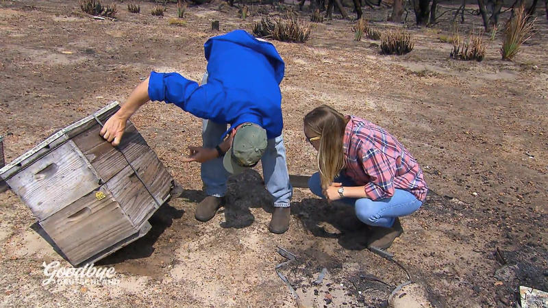 Die  Buschfeuer haben Familie Davis stark getroffen
